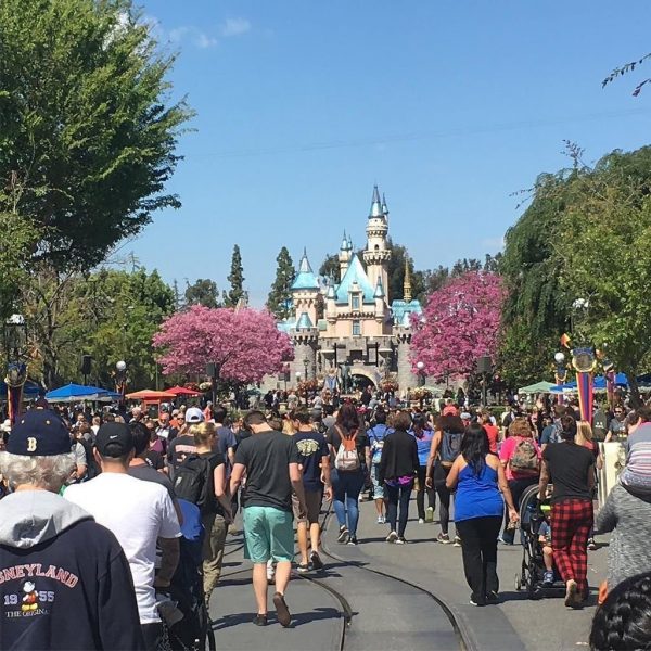 Disneyland in March Best & Worst Days to Go Is It Packed? Real