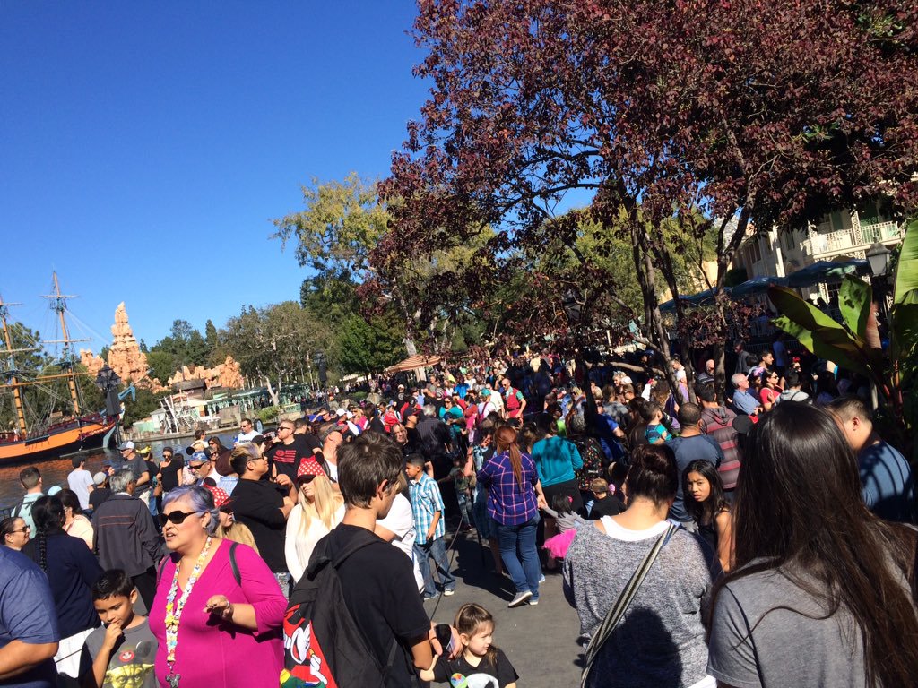 Disneyland in November Best & Worst Days to Go Is It Packed? Real